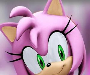yapboz Amy Rose, yeşil gözlü, pembe bir kirpi olan Sonic aşık deli olduğunu